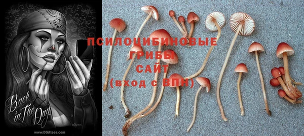 кристаллы Инта