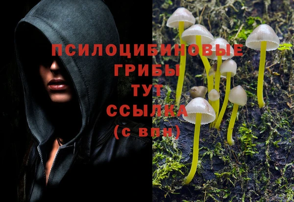 хмурый Зерноград