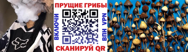 Псилоцибиновые грибы MAGIC MUSHROOMS  Купить где  Холмск 